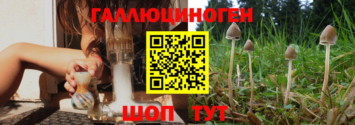 Галлюциногенные грибы Magic Shrooms Краснознаменск